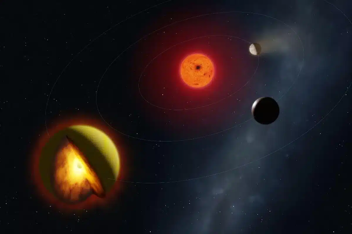 L 98 59 D Exoplanet