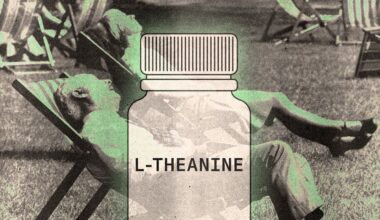 How L-Theanine Can Help You Stay Calm and Sleep Better