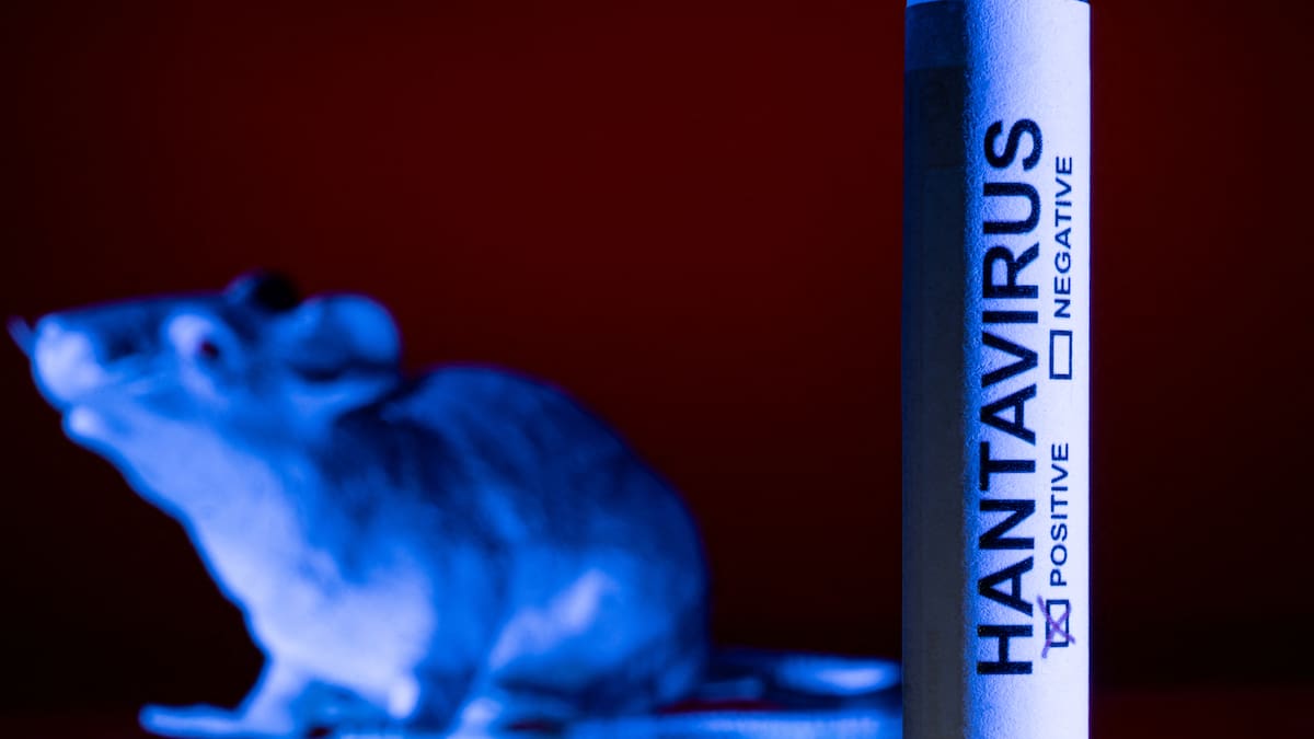 Second Kiwi isolating overseas after cruise ship hantavirus exposure