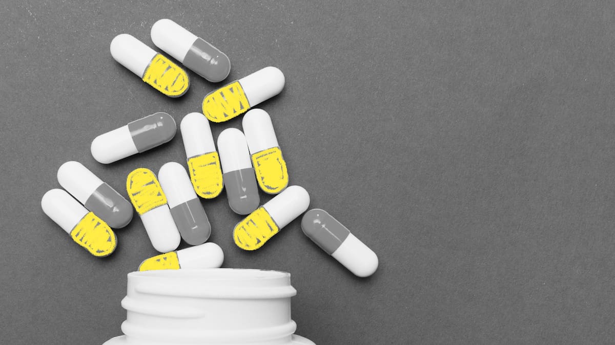 I’m a gastroenterologist. Here’s what antibiotics really do to your gut