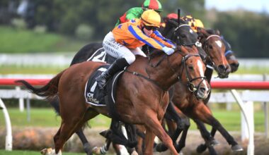 Irish import Bright Stripes makes his mark with win on New Zealand debut at Te Rapa