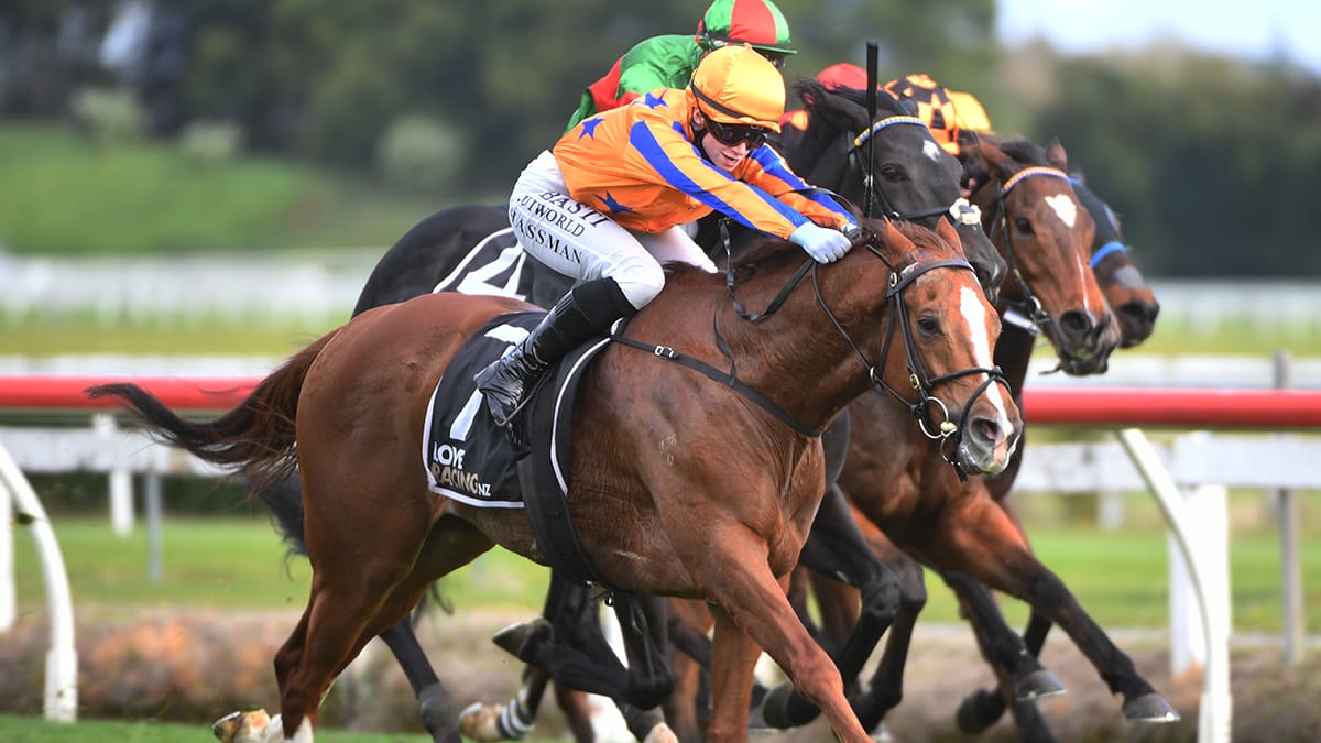 Irish import Bright Stripes makes his mark with win on New Zealand debut at Te Rapa