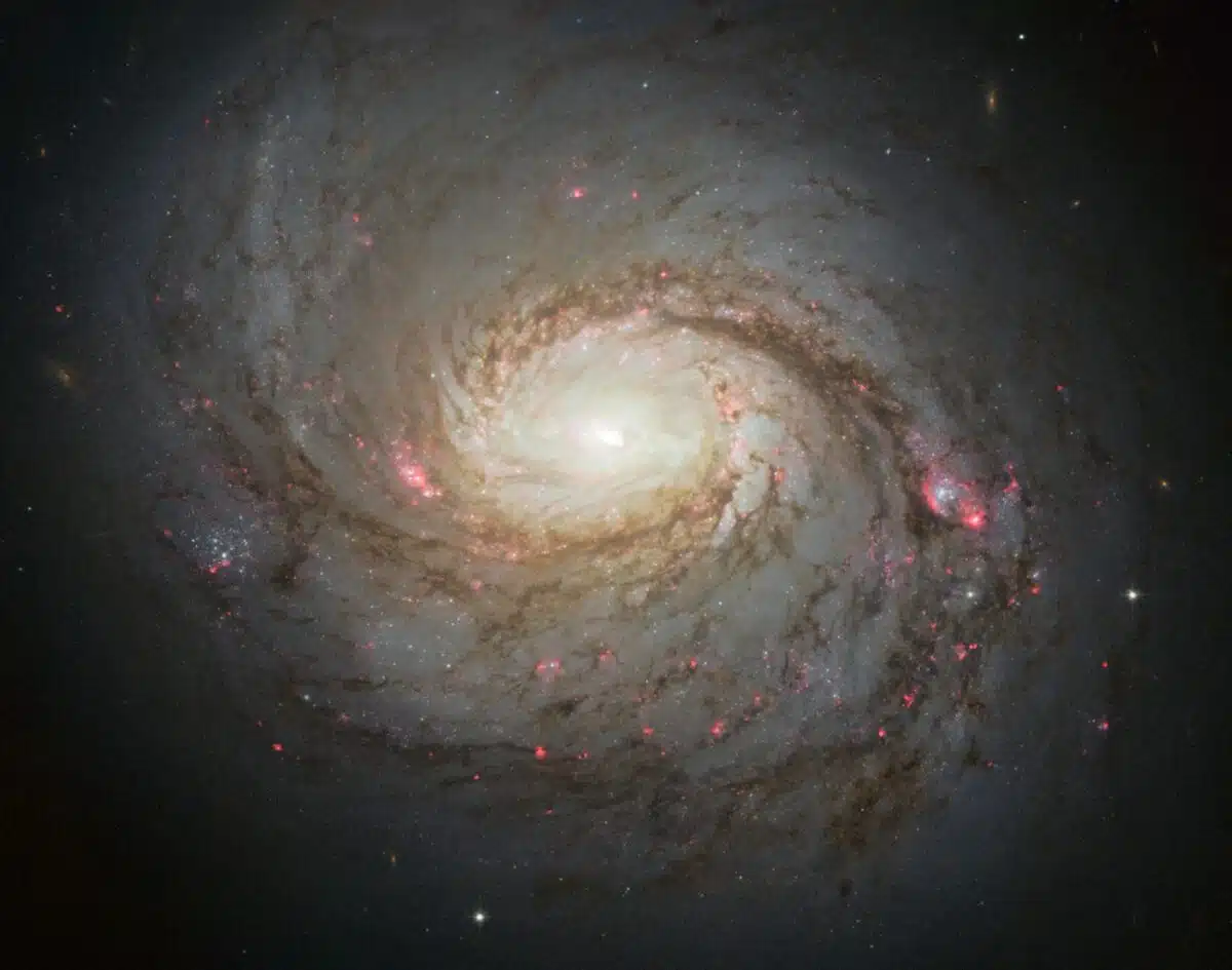 M77 Captured By Hubble In 2013.