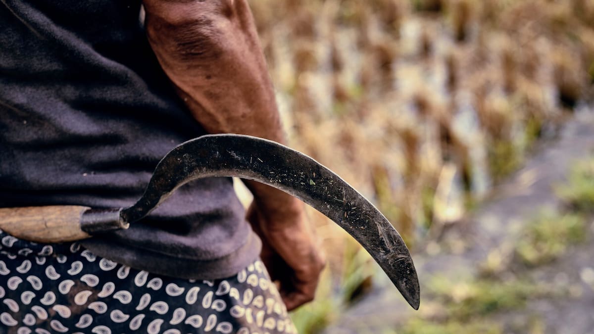 Indian man ‘attacked with sickle’ in land feud denied refugee status in New Zealand