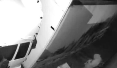 Fuel thieves hit vegetable stall, mechanic workshop in rural Southland