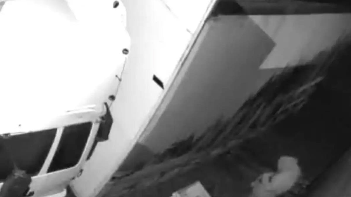 Fuel thieves hit vegetable stall, mechanic workshop in rural Southland