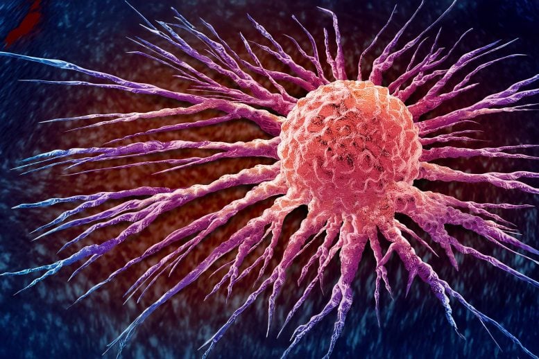 Malignant Cancerous Growth Cancer Cell Spreading