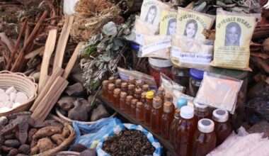 How Nigeria’s ‘algorithmic apothecary’ fuels a surge in risky herbal cures | Health News