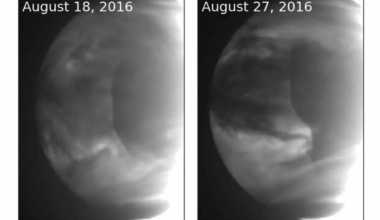 Massive 6,000 Kilometer Wave On Venus Finally Explained By Newly Discovered Phenomenon