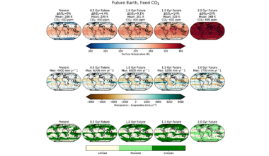 Maximum Lifetime Of The Vegetative Biosphere