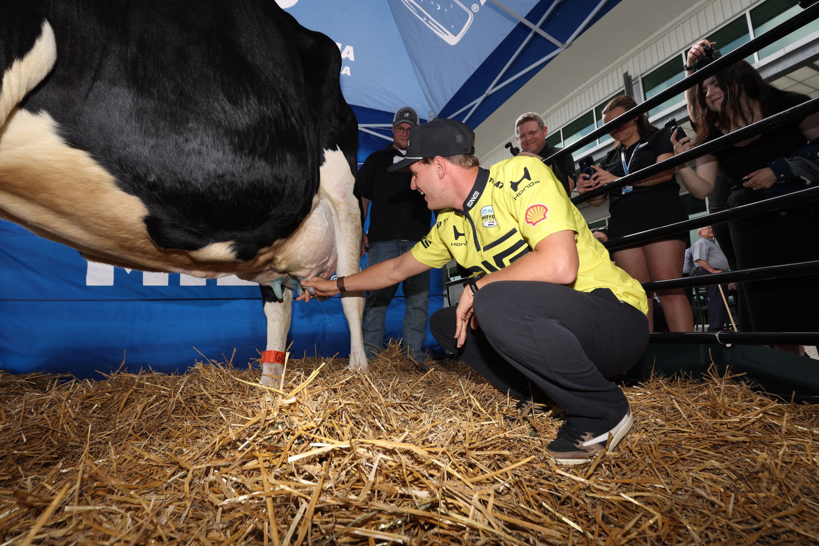 Indy 500 drivers decide which milk to drink if they win