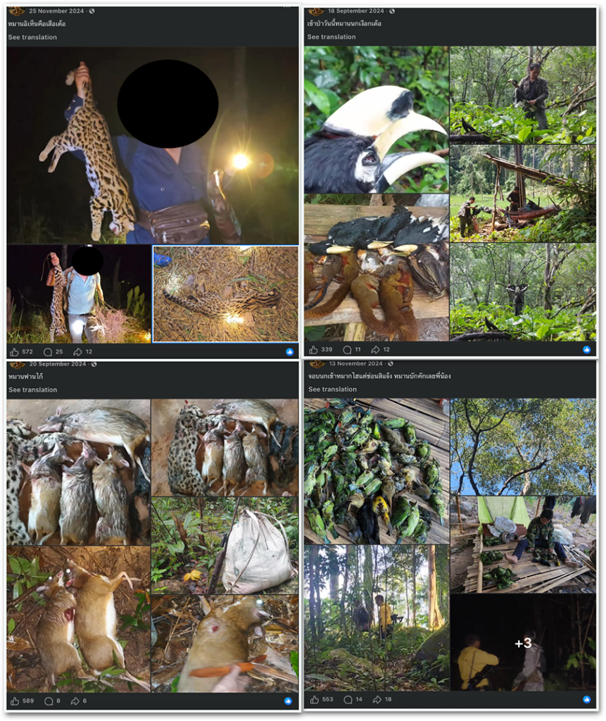 Some accounts, presumably of poachers like these ones, monetized the content on Facebook by using the 'Subscribe' feature. Users can pay these creators for exclusive content. These photos from the accounts show hunting of small mammals, wild cats and birds.