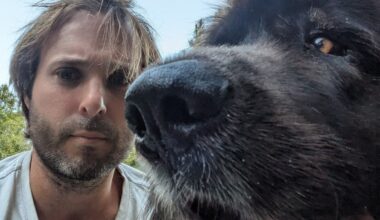 Western Bay of Plenty dog owner files complaint after vet euthanises dog