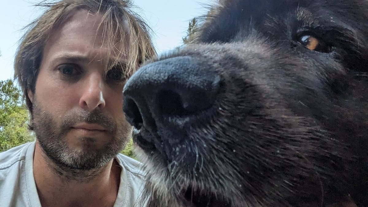 Western Bay of Plenty dog owner files complaint after vet euthanises dog