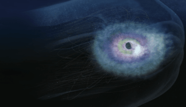Nasa And Us Space Force Team Up For Game Changing Mission To Uncover The Hidden Truth Behind Earth’s 'ring Current'