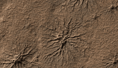 Nasa's Curiosity Rover Uncovers Strange 'spiderwebs' On Mars, Hinting At Longer Life Sustaining Water