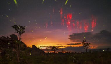 Photographer's Epic Journey to Capture Stunning Image of Rare Lightning Sprite