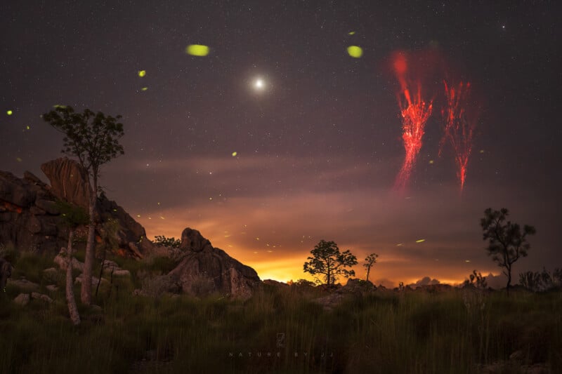 A grassy rocky landscape at dusk with a star-filled sky and clouds. Bright yellow fireflies float in the air, and rare red sprites appear above the horizon, creating colorful light streaks in the sky.
