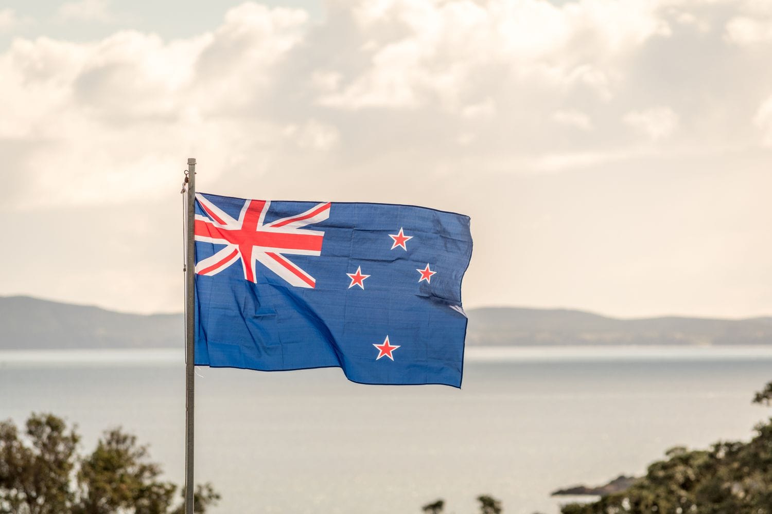 New Zealand Moves To Shield Companies From Private Climate Lawsuits