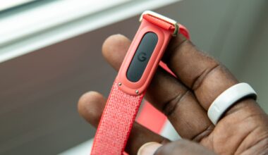 These are the best Fitbit Air bands available at the moment