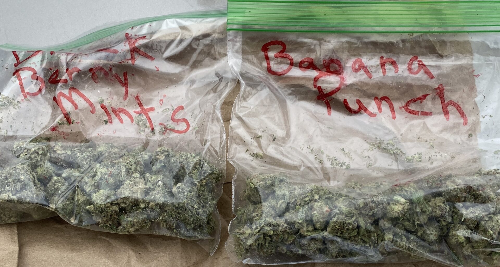 Northwoods Caregiver flower in bags