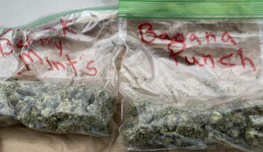 Northwoods Caregiver flower in bags