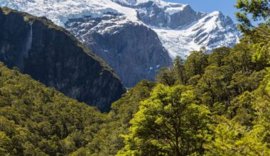 Two hunters killed in chartered helicopter crash, three survivors located in Mt Aspiring National Park