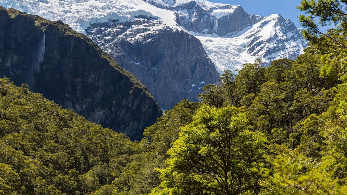 Two hunters killed in chartered helicopter crash, three survivors located in Mt Aspiring National Park