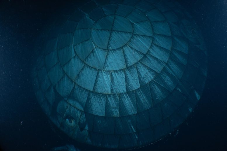 Orion Spacecraft’s Heat Shield After Splashdown