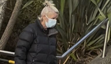 Theresa Johnson stole car with baby inside, then dumped infant on side of road before driving off