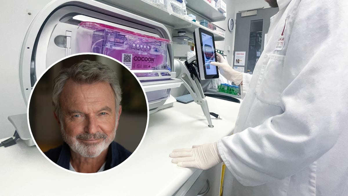 CAR T-cell therapy in New Zealand: When will blood cancer patients get access?