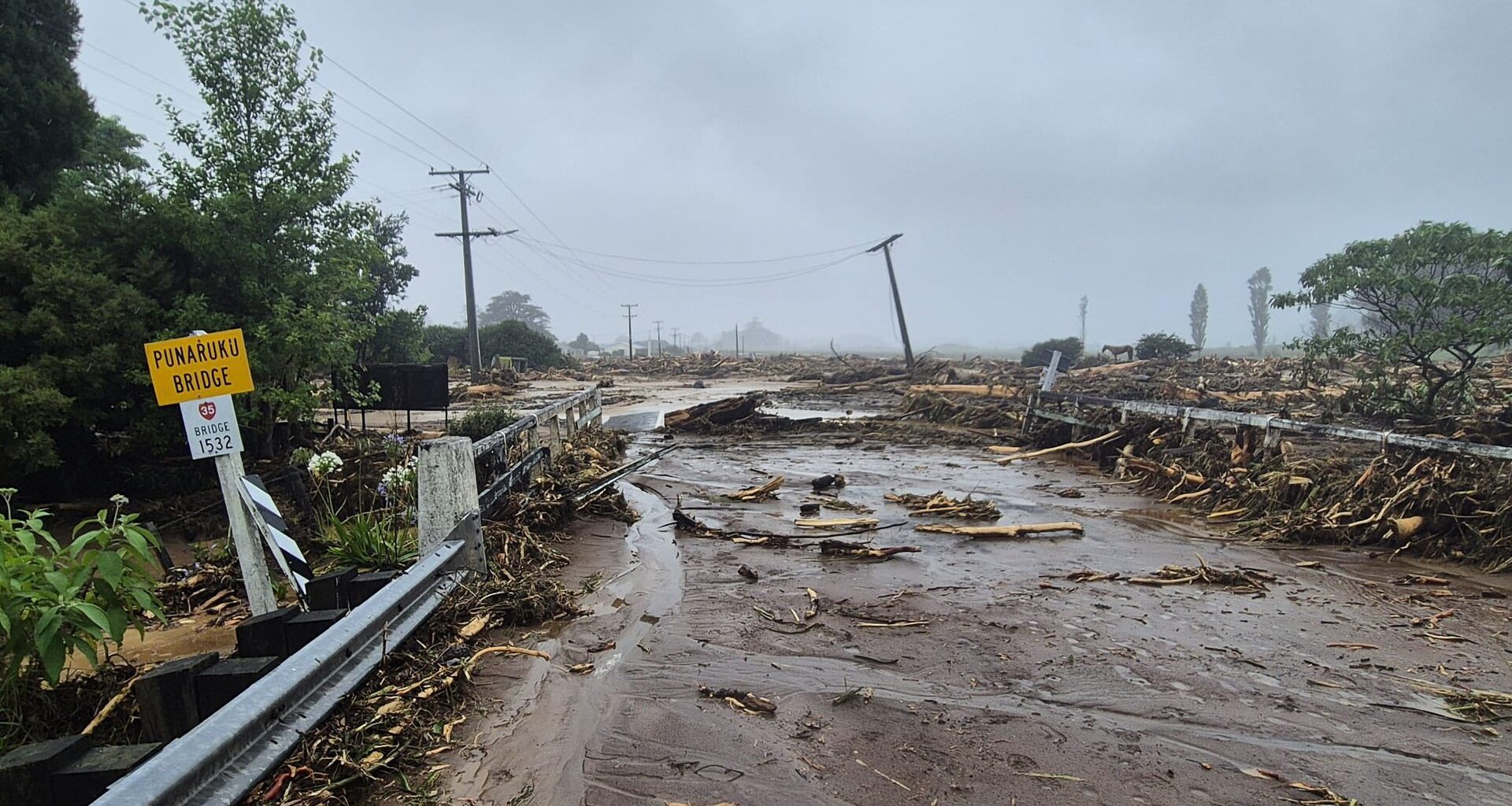 Māori climate risk worsened by colonization, report finds