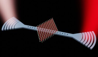 Photonic Computing Component