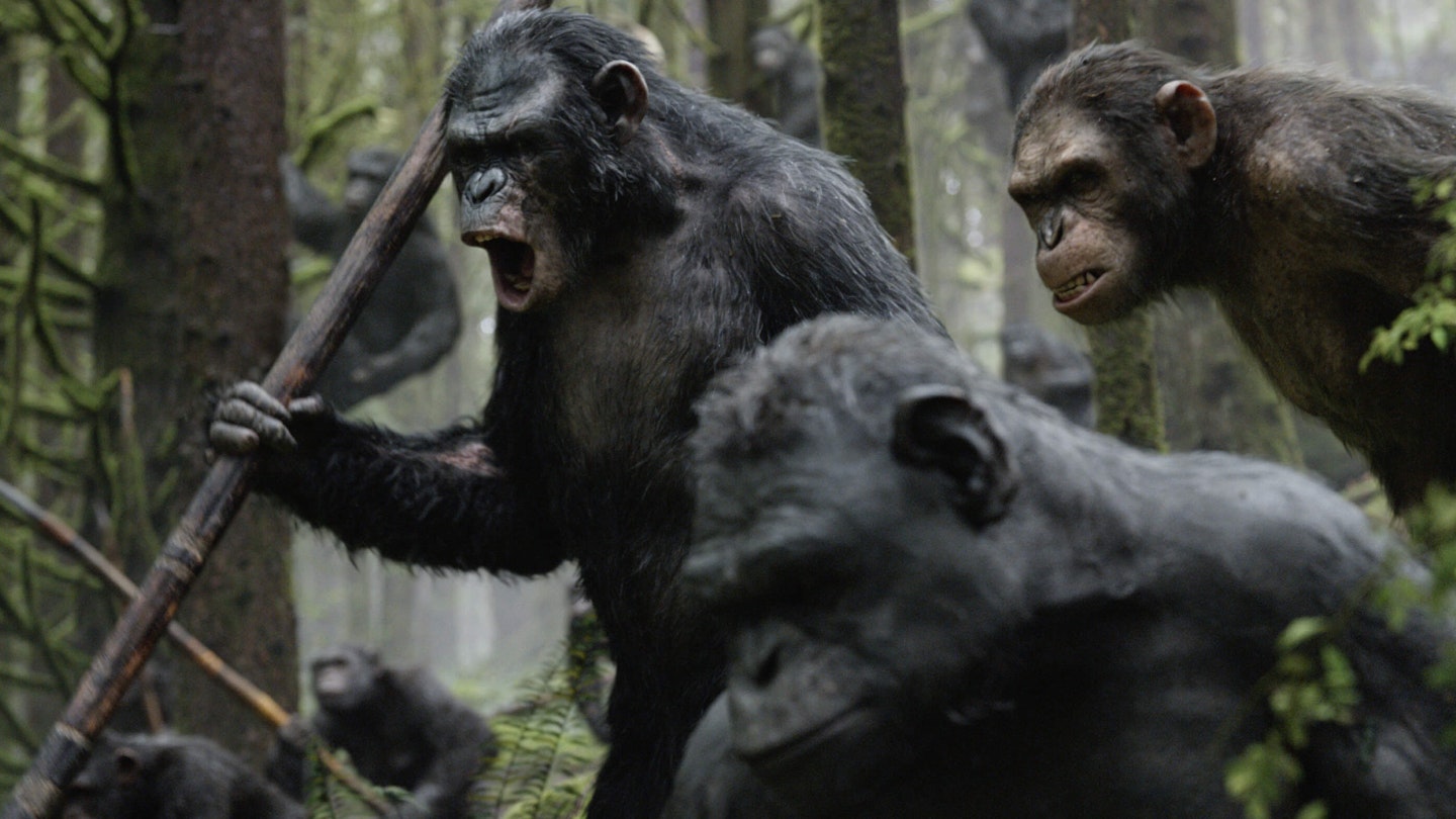 New Planet Of The Apes Movie Lands Fantastic Four Director