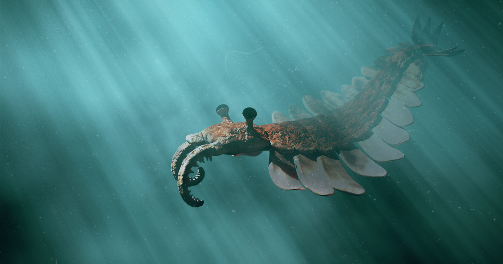 Complex animal life may be 10 million years older than scientists thought — and a new fossil site in northwestern Canada suggests it all started in the deep sea, not the shallow waters where most early fossils show up