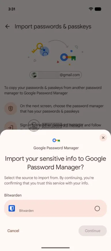 passkey import and export interface within Google Password Manager