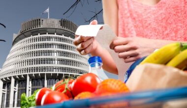 Government shopping list reveals 21 global supermarket giants to challenge Foodstuffs and Woolworths