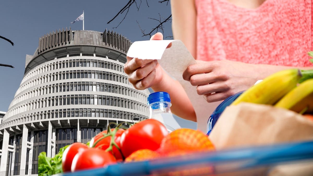 Government shopping list reveals 21 global supermarket giants to challenge Foodstuffs and Woolworths