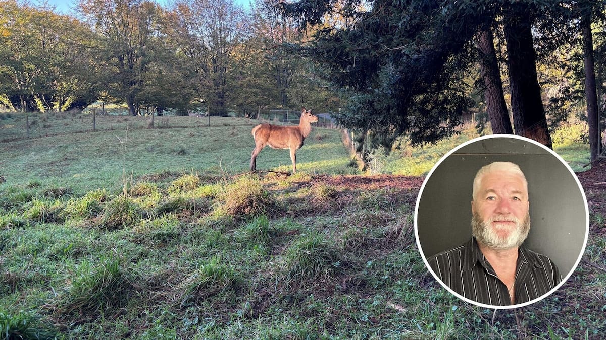 Dannevirke Deer Park closure sparks community save-the-park push