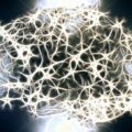 sixth sense microorganisms