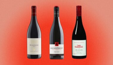 The 7 Best Red Wines From New Zealand to Buy in 2026