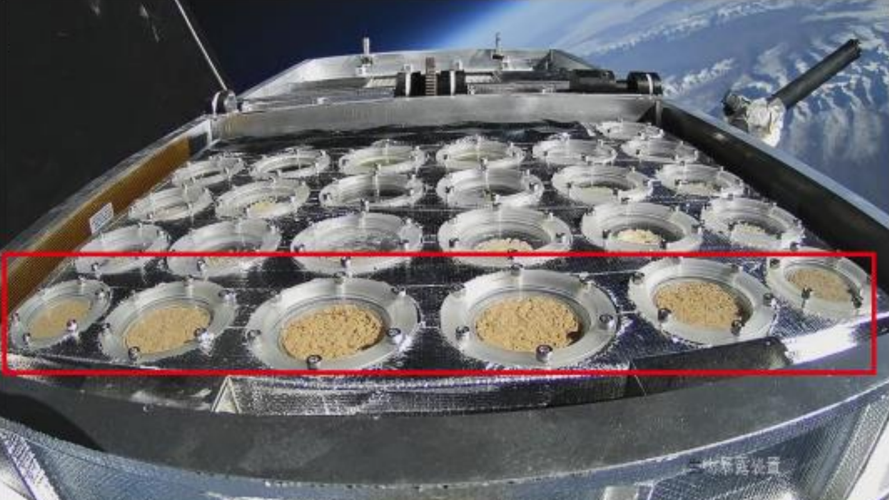 Responses of Cyanobacterial Crusts and Microbial Communities to Extreme Environments of the Stratosphere