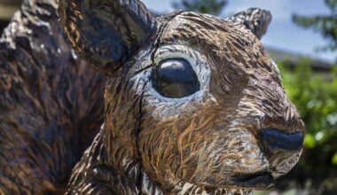 Sacramento tree art turns stumps into community sculptures