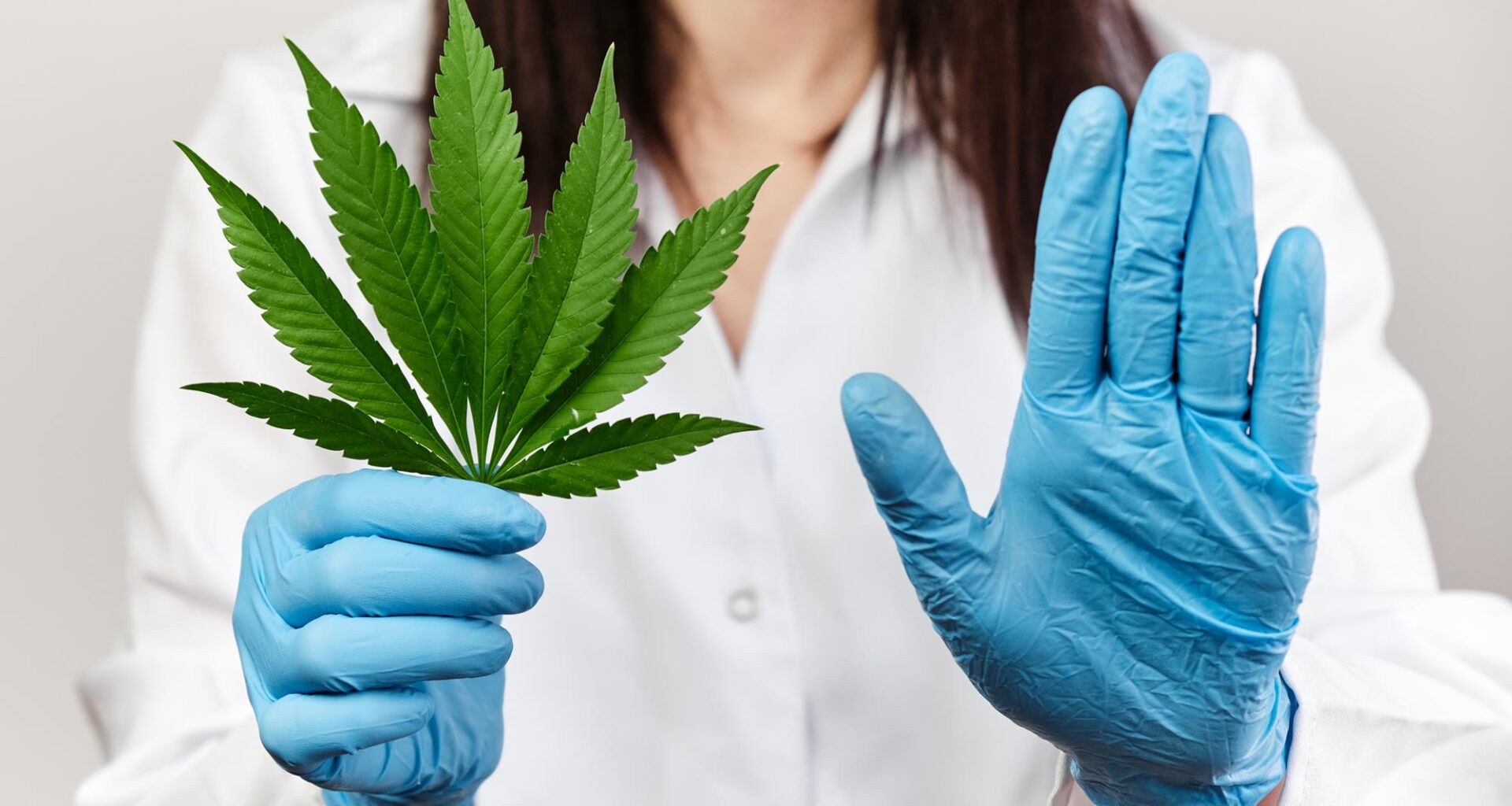 Scientist Doctor Cannabis Leaf No Hand