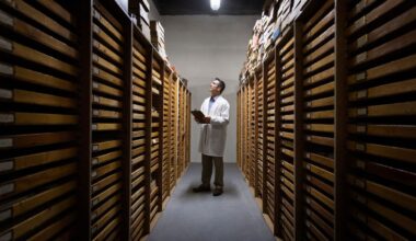 Scientists Keep Finding Major Discoveries Lurking in Museum Backrooms : ScienceAlert