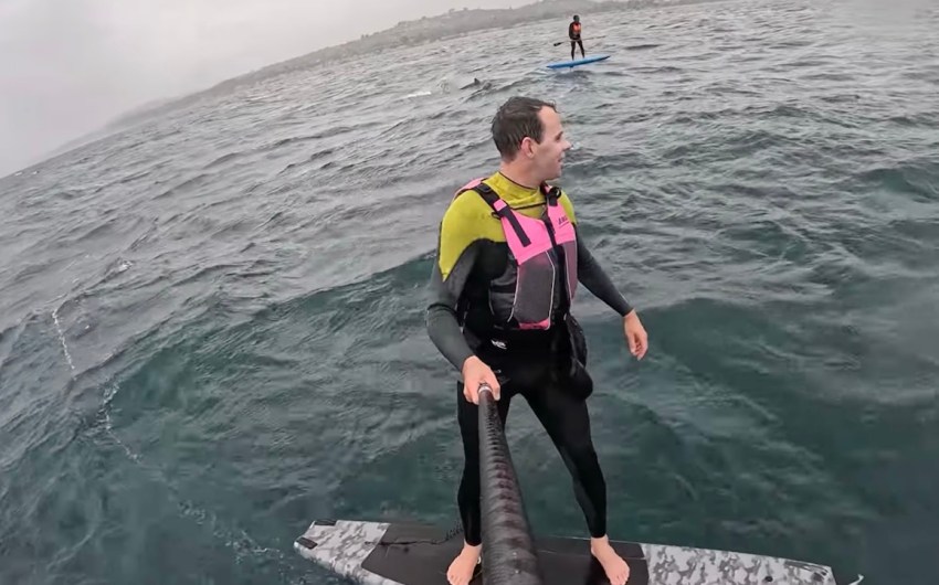 Shark Chases Foil Surfer Off Santa Barbara Coast