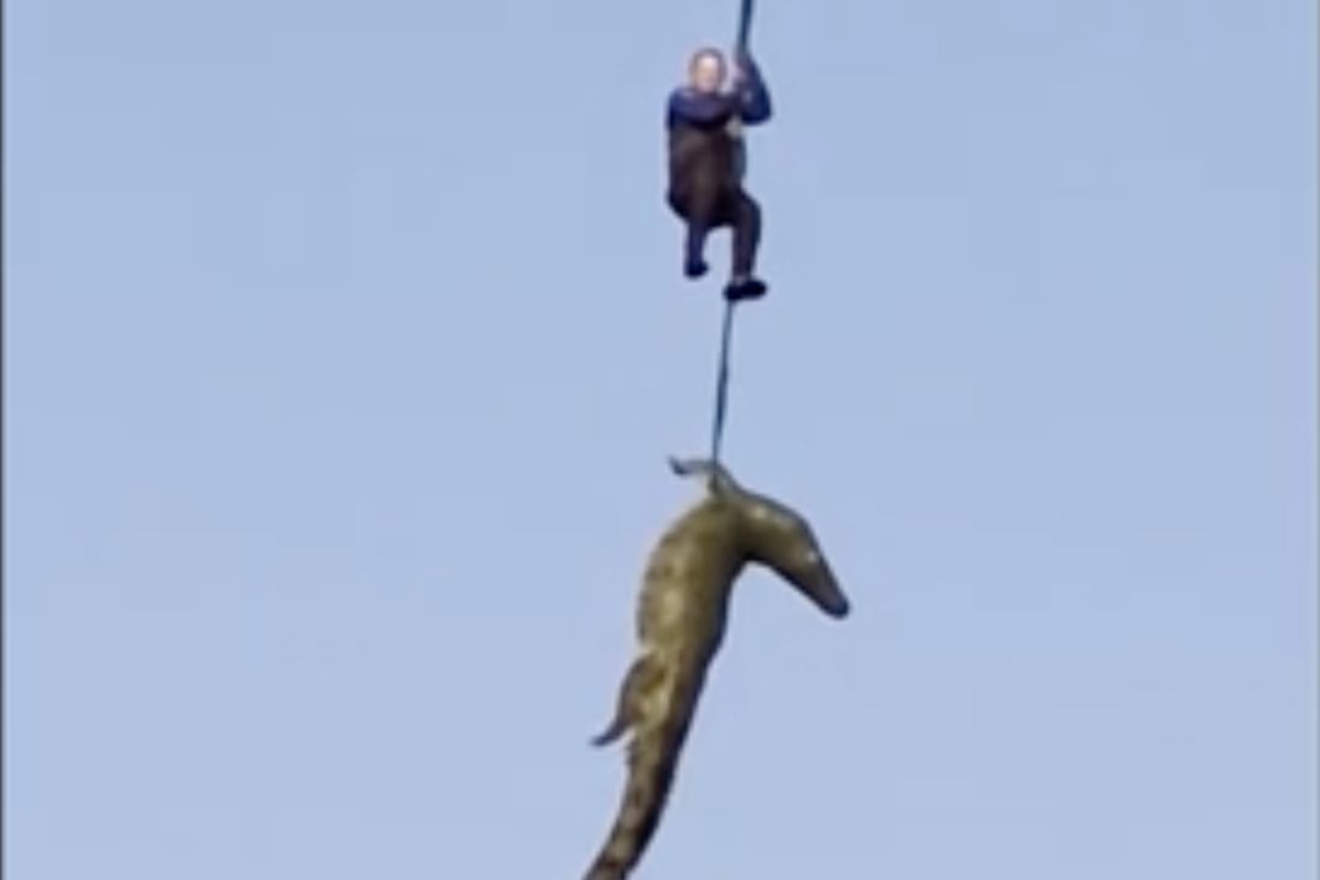 Extraordinary pictures show police airlifting massive crocodile suspected of eating man in South African bush