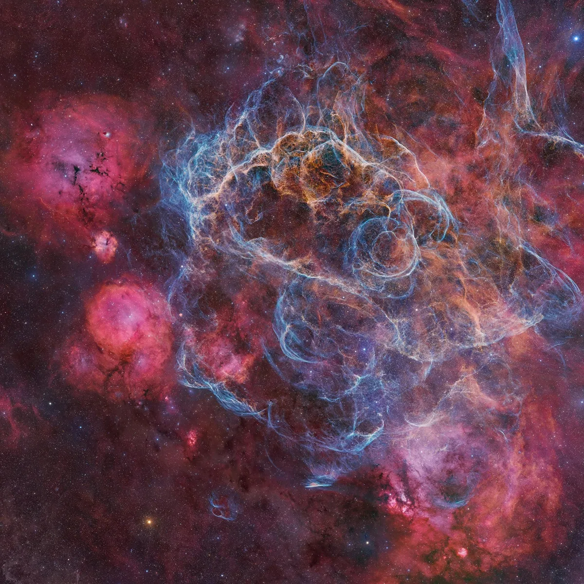'The Vela Supernova Remnant' by Steeve Body came second place in the Astronomy Photographer of the Year People's Choice Award 2026