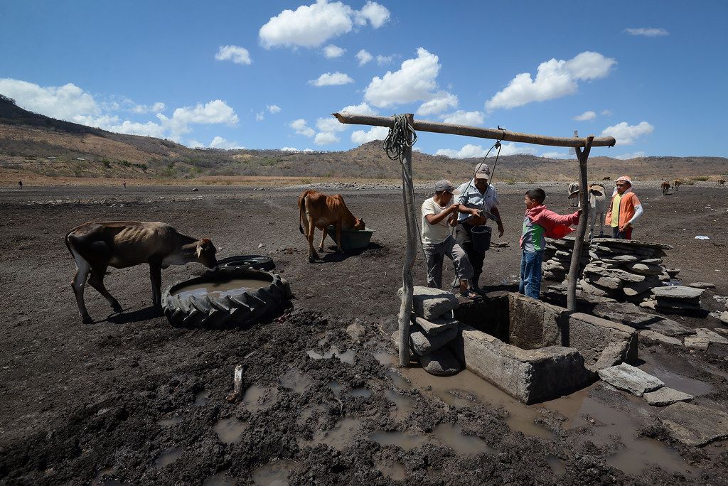 “Super El Niño”: What is the threat posed by this climate phenomenon?