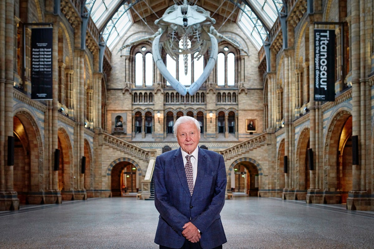 New species named in honour of Sir David Attenborough’s 100th birthday